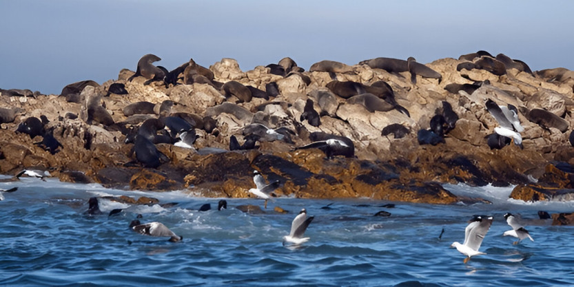 Scenic South Africa On Qatar Airways
