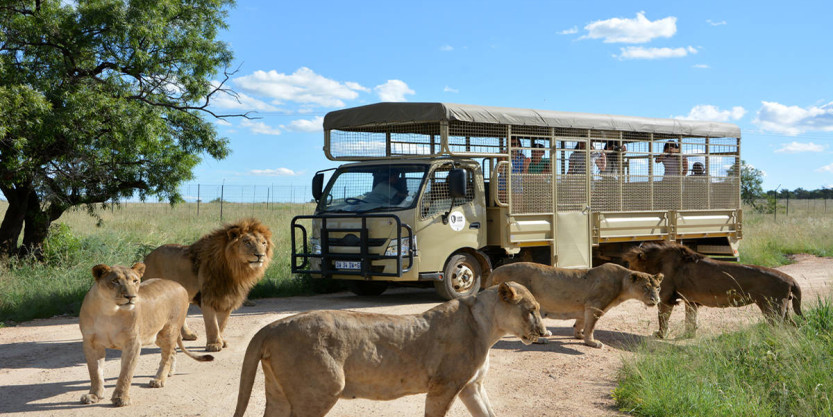 South African Delight